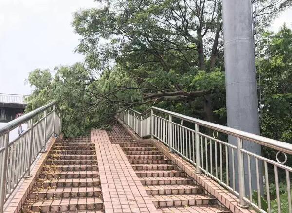 “天鴿”登陸了又怎樣，智彤印刷正常發(fā)放福利！